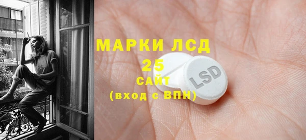 ГАЛЛЮЦИНОГЕННЫЕ ГРИБЫ Балахна