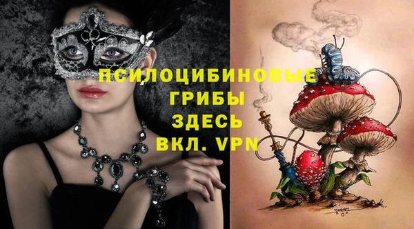 ГАЛЛЮЦИНОГЕННЫЕ ГРИБЫ Балахна