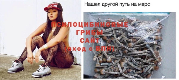 ГАЛЛЮЦИНОГЕННЫЕ ГРИБЫ Балахна