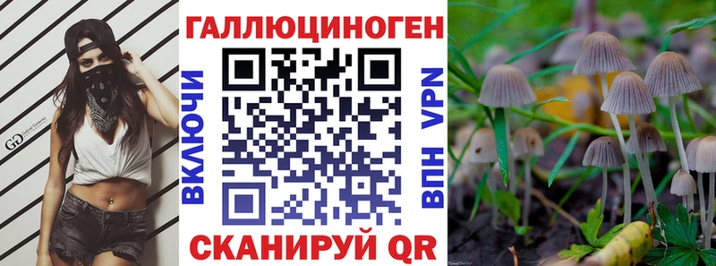 Галлюциногенные грибы Psilocybine cubensis  Ершов 